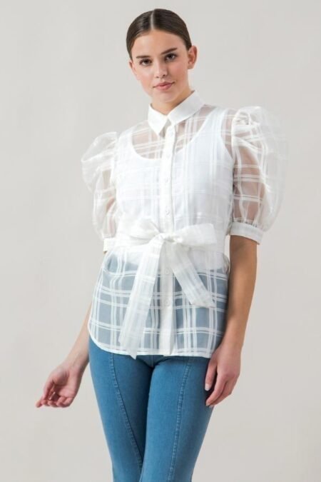 a see thru mini length organza top